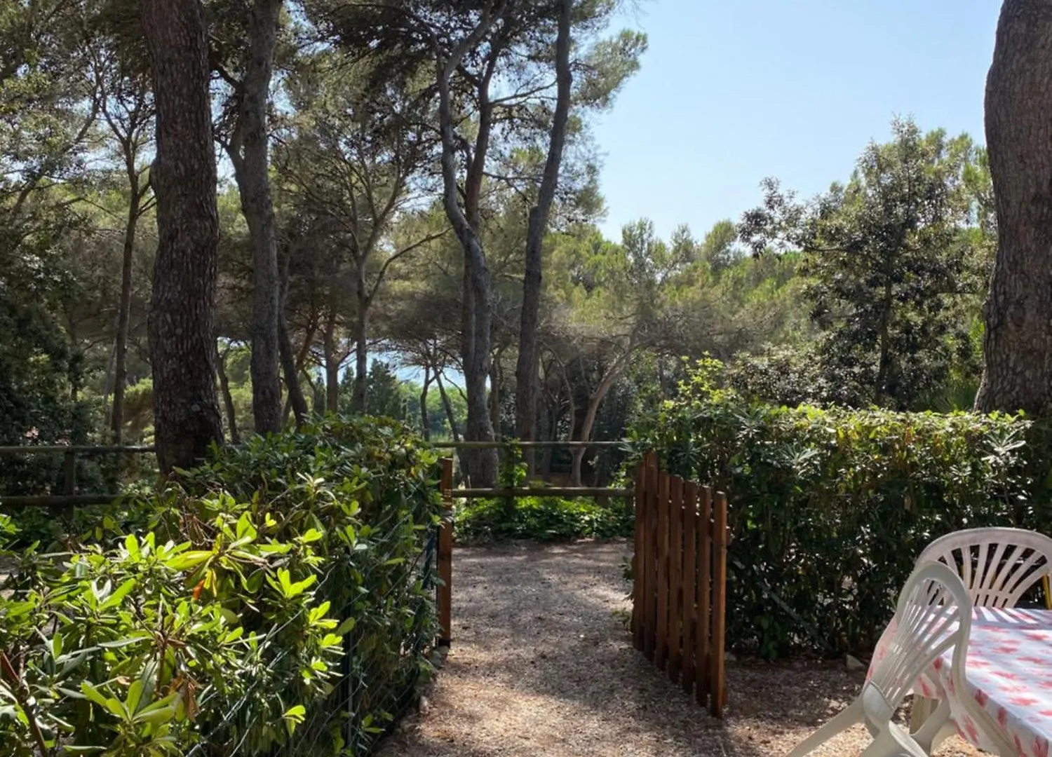 Castyhome Rosignano Marittimo Apartamento