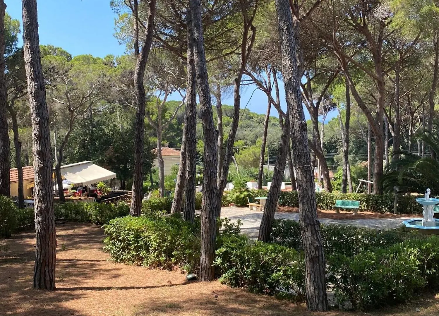Apartment Castyhome Rosignano Marittimo